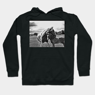 Mother & Son Hoodie